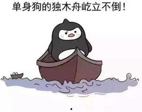 娱乐吃瓜酱隐形式单身,隐形式单身背后的故事